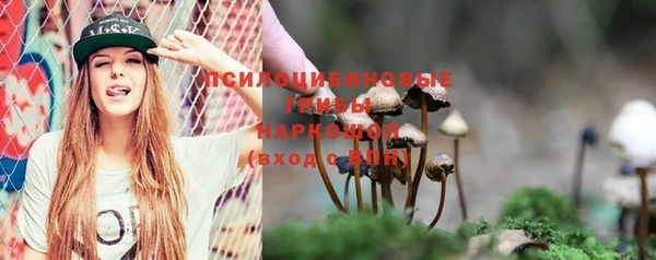 дживик Горняк
