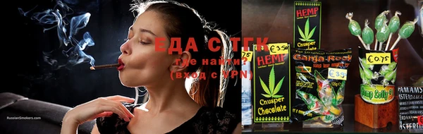 ПСИЛОЦИБИНОВЫЕ ГРИБЫ Горно-Алтайск