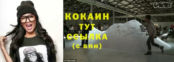 дживик Горняк