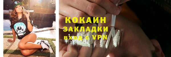 PSILOCYBIN Горнозаводск