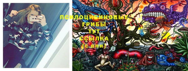 ПСИЛОЦИБИНОВЫЕ ГРИБЫ Горно-Алтайск