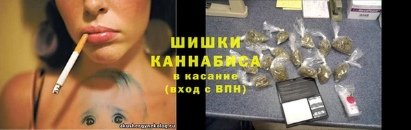 ПСИЛОЦИБИНОВЫЕ ГРИБЫ Горно-Алтайск