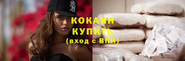 ПСИЛОЦИБИНОВЫЕ ГРИБЫ Горно-Алтайск