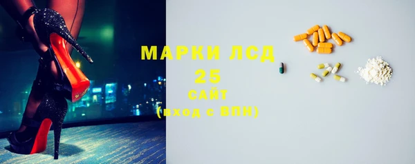 ПСИЛОЦИБИНОВЫЕ ГРИБЫ Горно-Алтайск