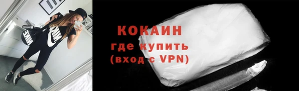 дживик Горняк