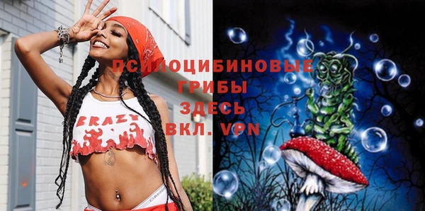 ПСИЛОЦИБИНОВЫЕ ГРИБЫ Горно-Алтайск