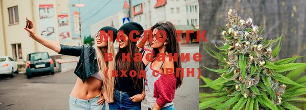 дживик Горняк