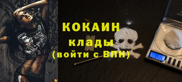 дживик Горняк