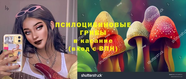 PSILOCYBIN Горнозаводск