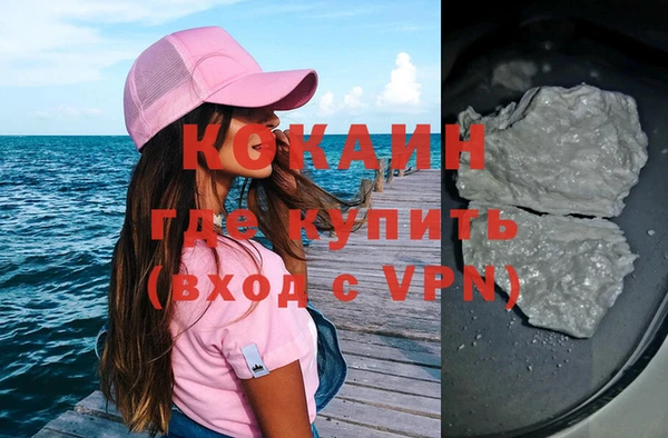 дживик Горняк