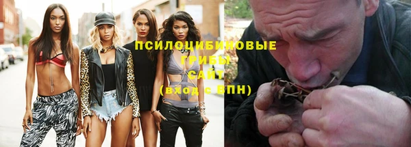 ПСИЛОЦИБИНОВЫЕ ГРИБЫ Горно-Алтайск