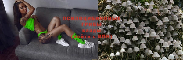 дживик Горняк