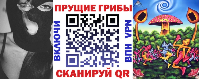 Псилоцибиновые грибы Psilocybe  Купить где  Горняк 